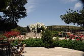 DSC_3381.JPG