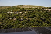 DSC_3383.JPG