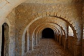DSC_3391.JPG