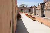 DSC_3446.JPG