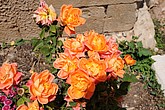 DSC_3456.JPG