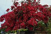 DSC_3470.JPG