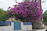 DSC_3472.JPG