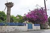 DSC_3474.JPG