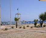 DSC_3480.JPG
