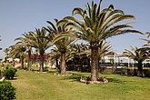 DSC_3481.JPG