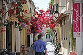 DSC_3487.JPG