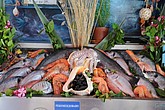DSC_3499.JPG