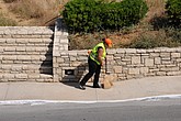 DSC_3530.JPG