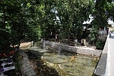 DSC_3541.JPG