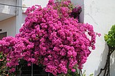 DSC_3555.JPG