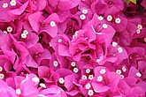 DSC_3559.JPG