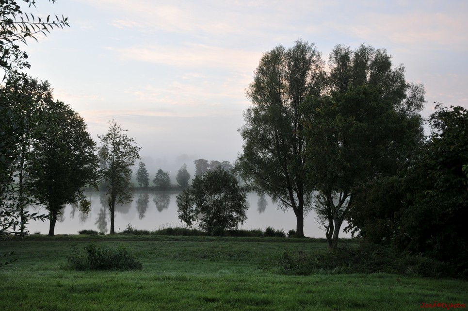 DSC_4678.JPG