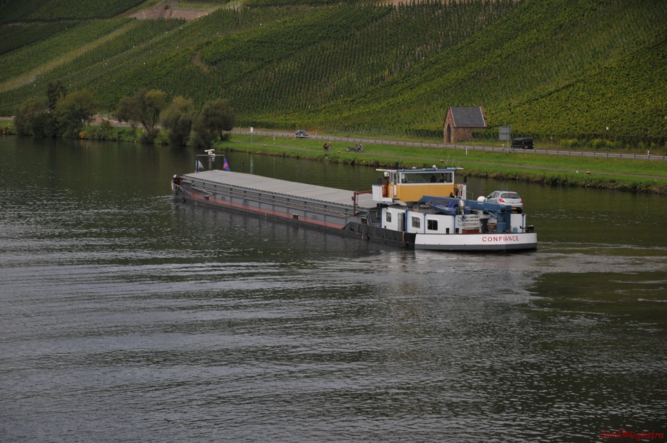 DSC_4701.JPG
