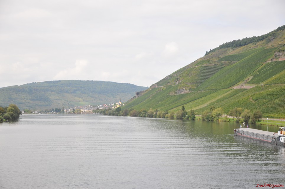 DSC_4705.JPG
