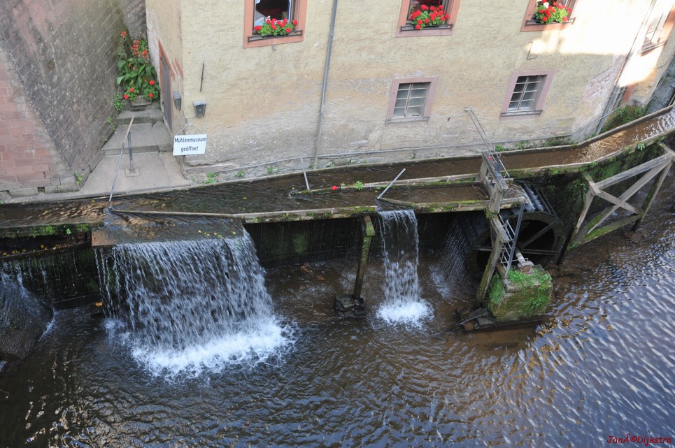 DSC_4893.JPG