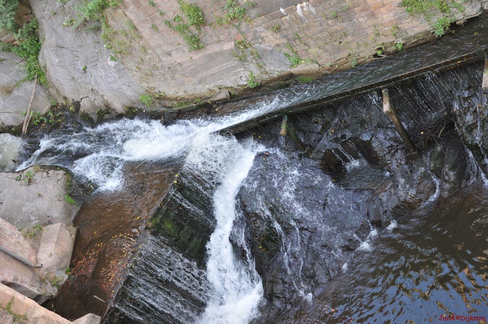 DSC_4895.JPG