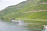 DSC_4704.JPG