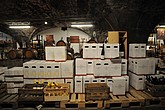 DSC_4761.JPG