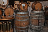 DSC_4767.JPG