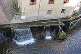 DSC_4893.JPG