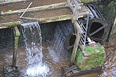 DSC_4894.JPG