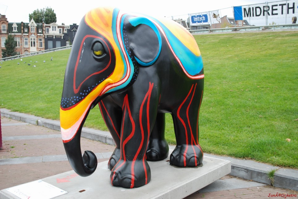 013 elephantasia.jpg