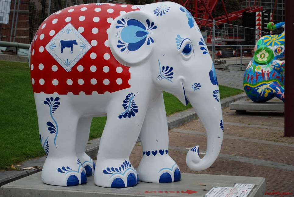 015 dutchelephant.dot.jpg