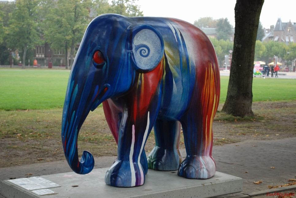 050 cry of wild elephant!.jpg