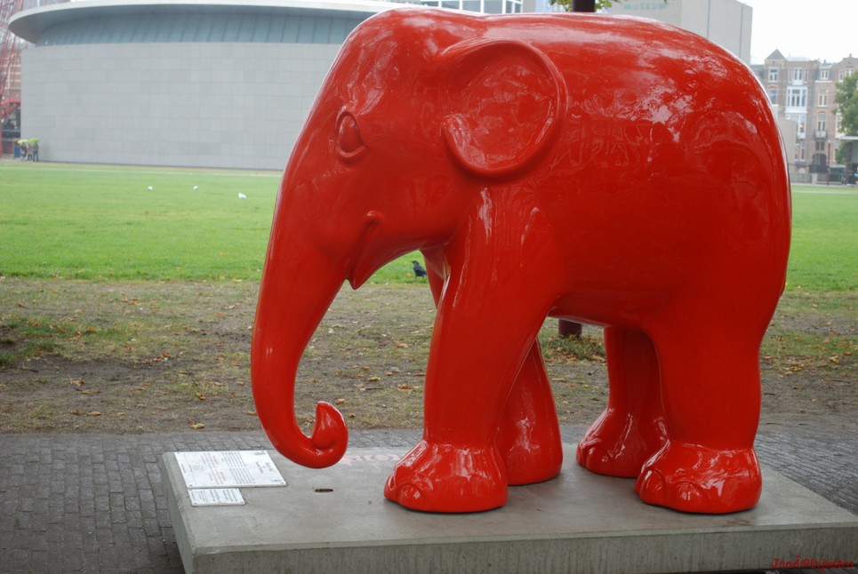 054 simply red.jpg
