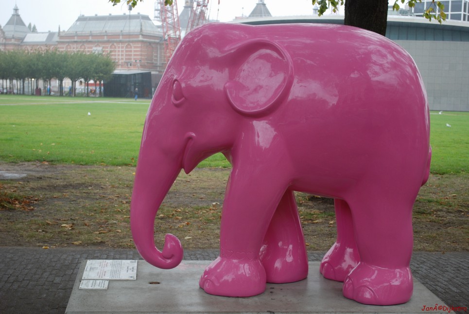 055 simply pink.jpg