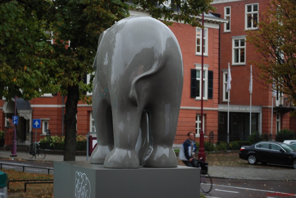 059 amsterdam.jpg