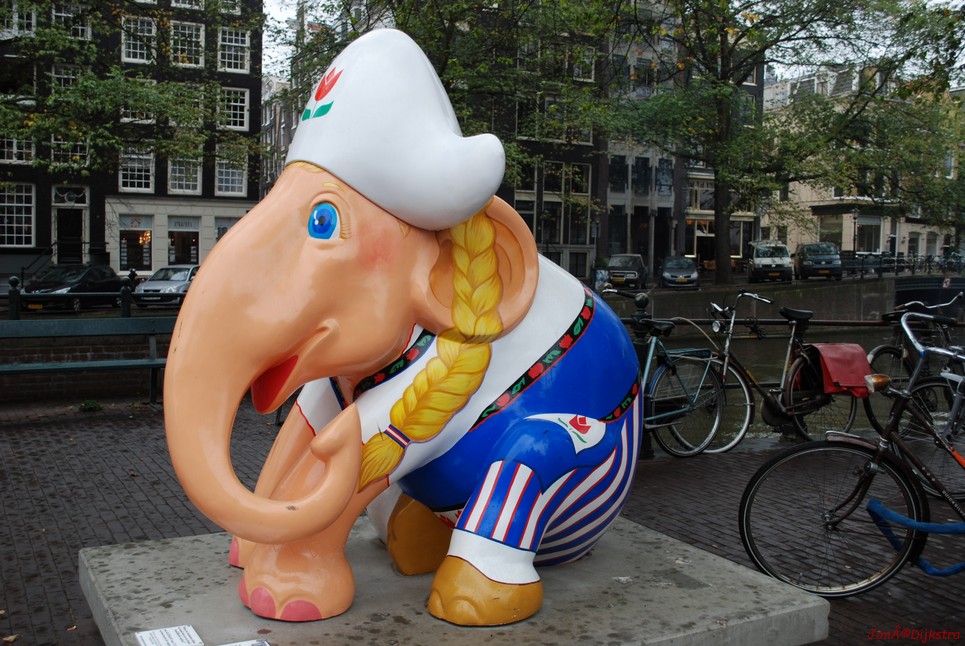 105 dutch lady.jpg