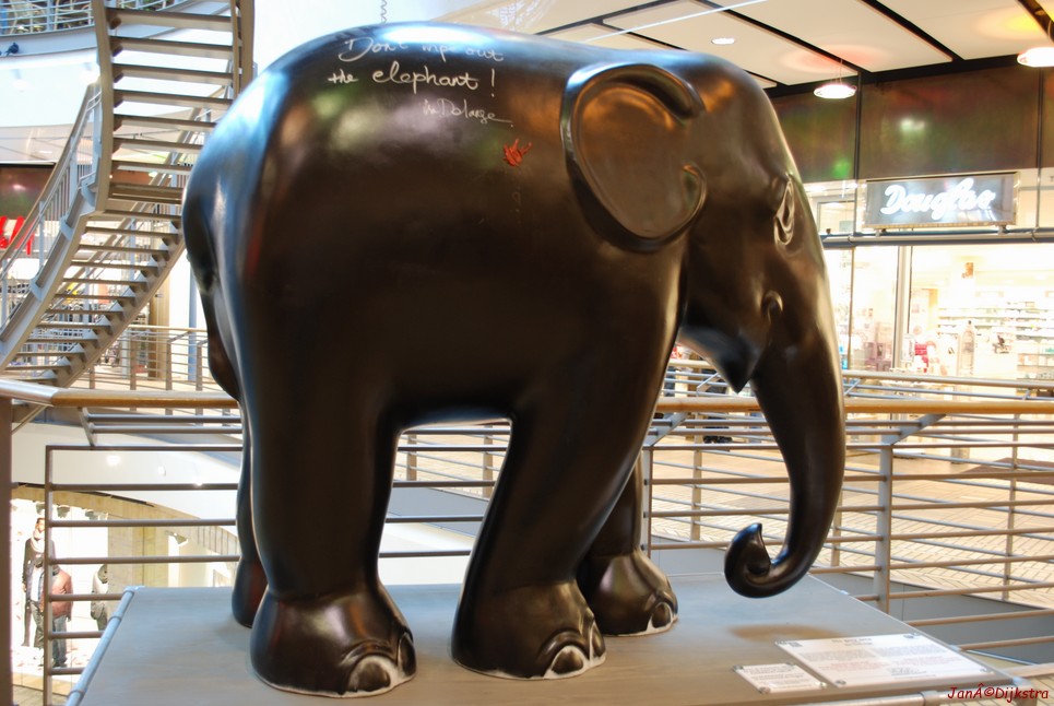 113 nao grey area ilse de lange.jpg