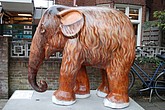 007 baby mammoth.jpg