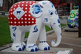 015 dutchelephant.dot.jpg
