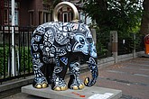 029 bedel-olifant.jpg