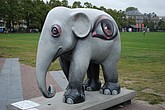 037 the eye of the believer.jpg