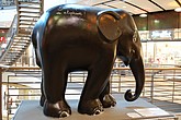 113 nao grey area ilse de lange.jpg