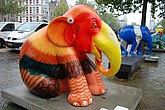 140 coq.jpg