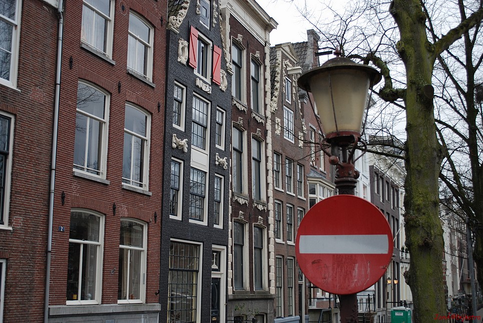 dsc_0012.jpg