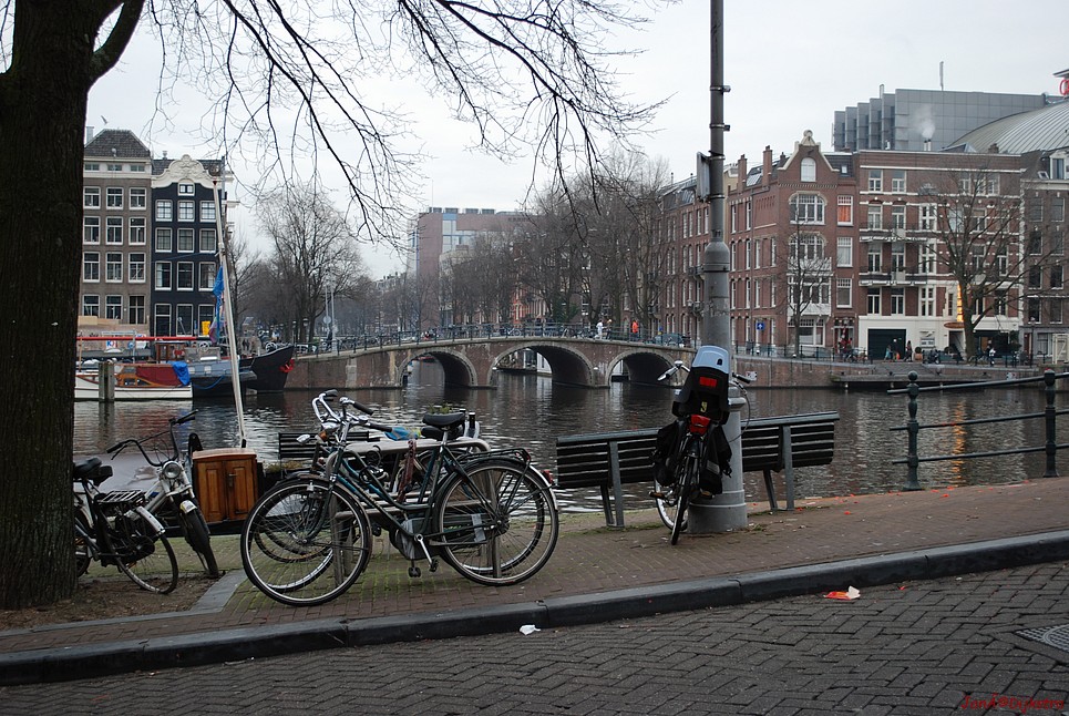 dsc_0014.jpg