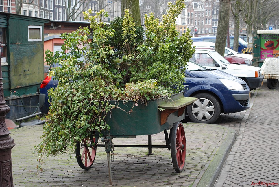 dsc_0033.jpg