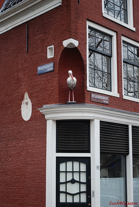 dsc_0042.jpg