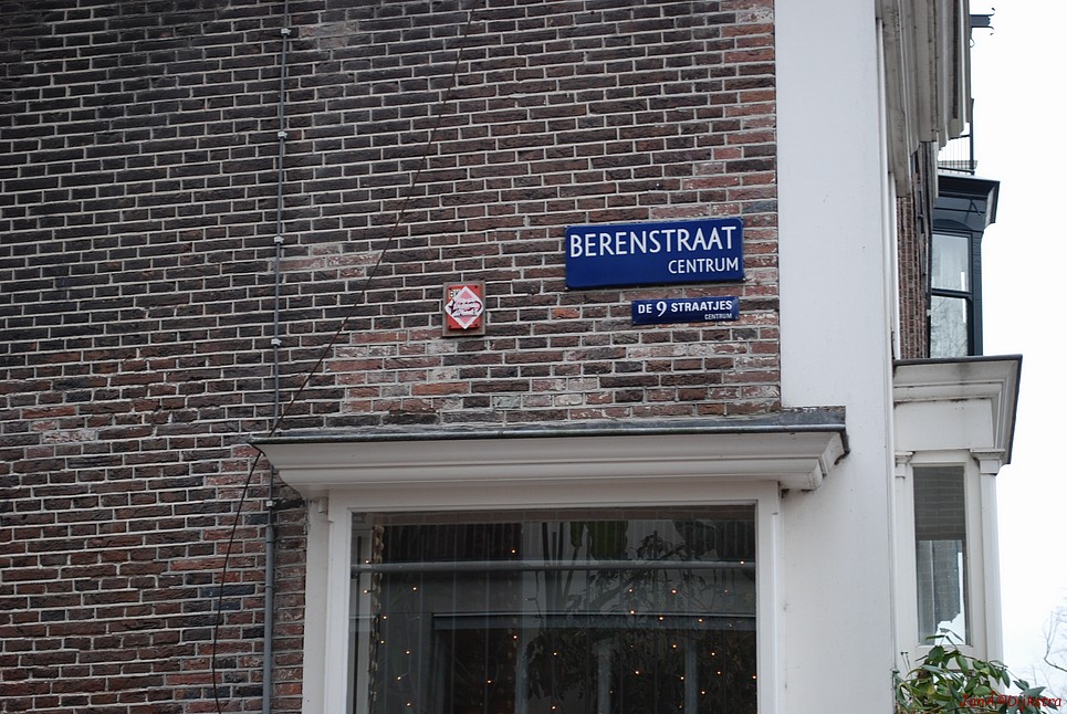 dsc_0110.jpg