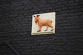 dsc_0018.jpg