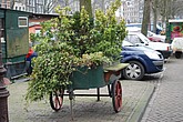 dsc_0033.jpg