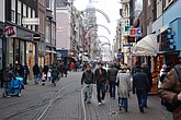 dsc_0081.jpg