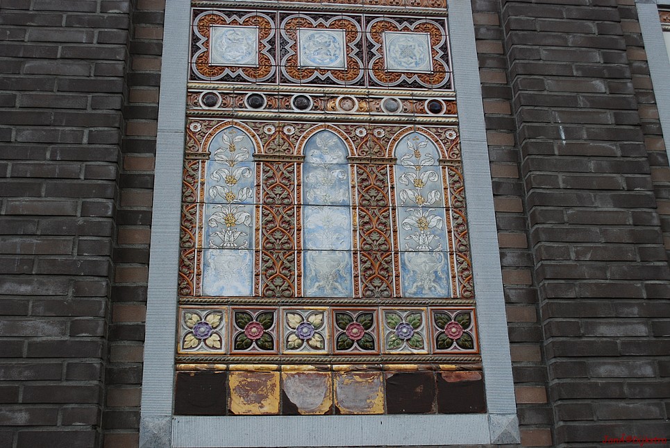 dsc_0096.jpg