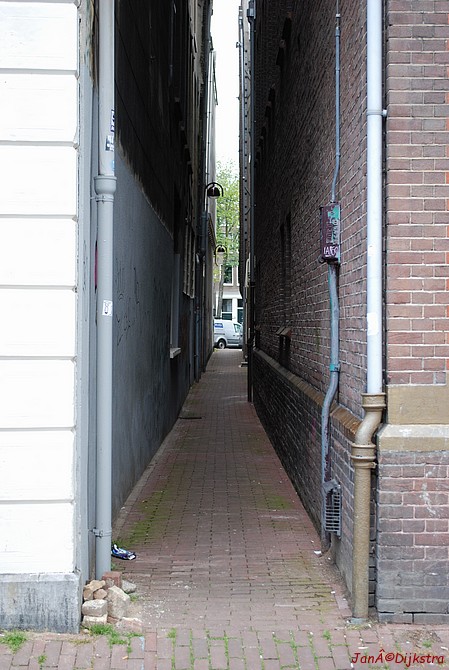 dsc_0123.jpg